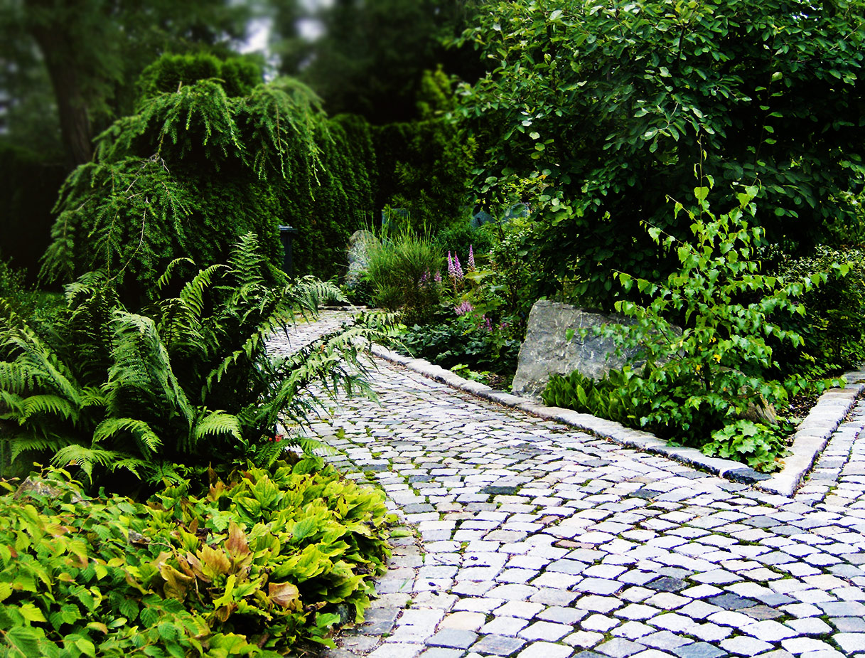 image12